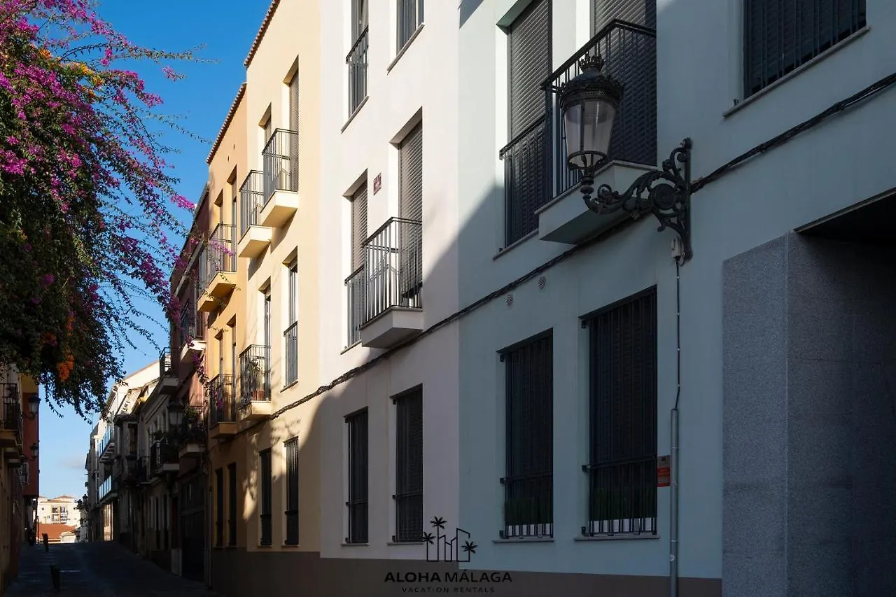 Luxury Duplex With Pool And Padel Court In Town Apartment Malaga Spain