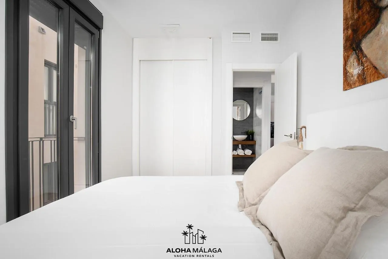 Luxury Duplex With Pool And Padel Court In Town Apartment Malaga