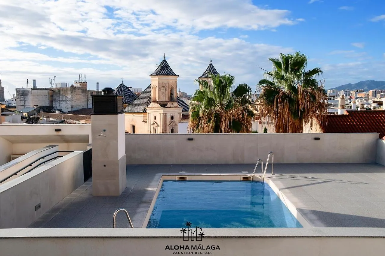 Apartmán Luxury Duplex With Pool And Padel Court In Town Màlaga Španělsko