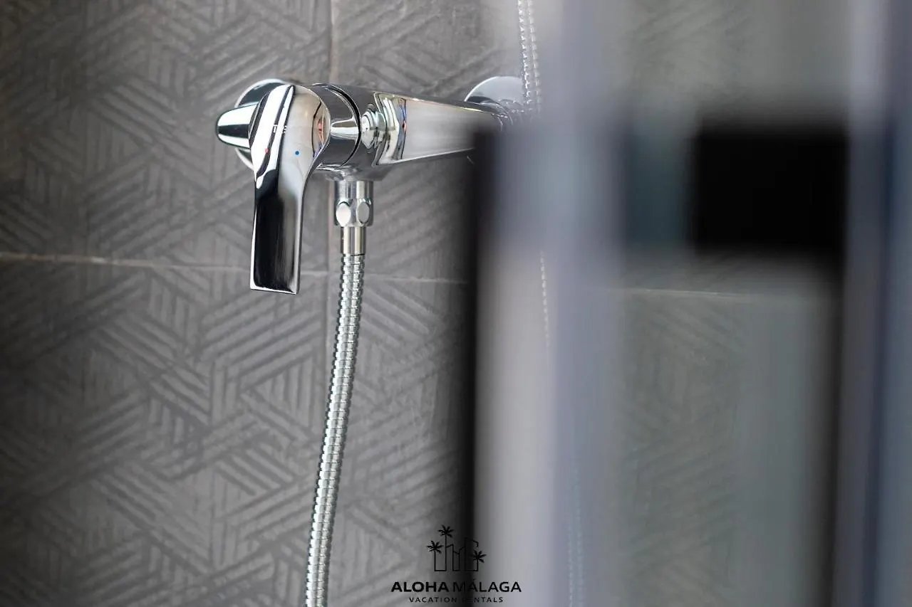 Apartmán Luxury Duplex With Pool And Padel Court In Town Màlaga 0*,