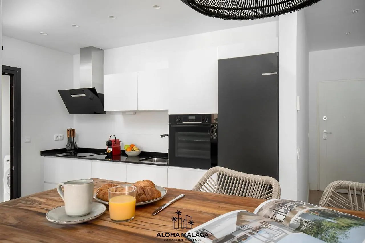 Apartmán Luxury Duplex With Pool And Padel Court In Town Màlaga 0*,  Španělsko